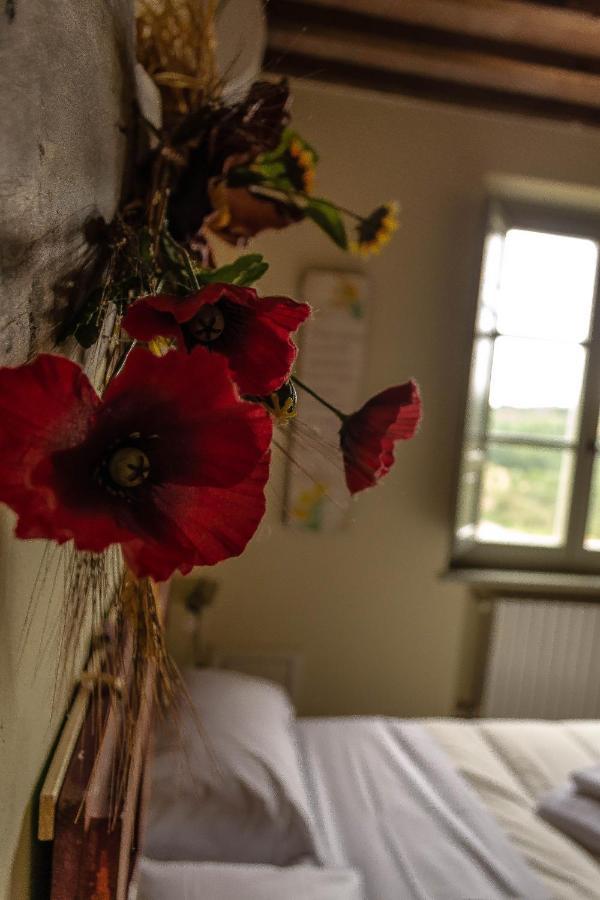 סן ג'ימיניאנו Agriturismo L'Olmo מראה חיצוני תמונה