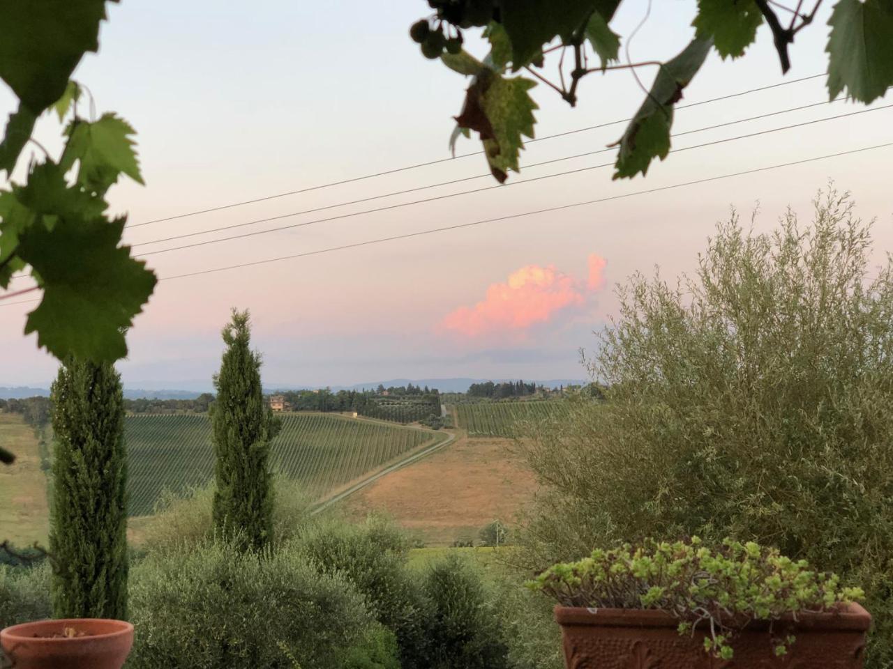 סן ג'ימיניאנו Agriturismo L'Olmo מראה חיצוני תמונה