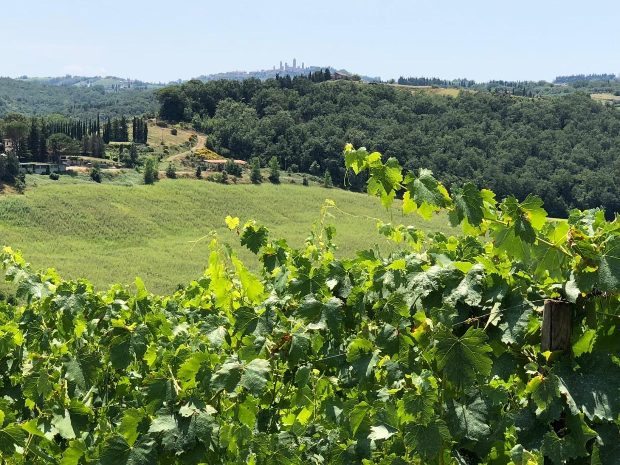 סן ג'ימיניאנו Agriturismo L'Olmo מראה חיצוני תמונה