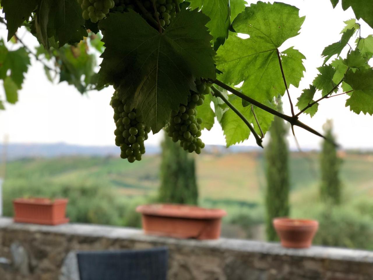סן ג'ימיניאנו Agriturismo L'Olmo מראה חיצוני תמונה