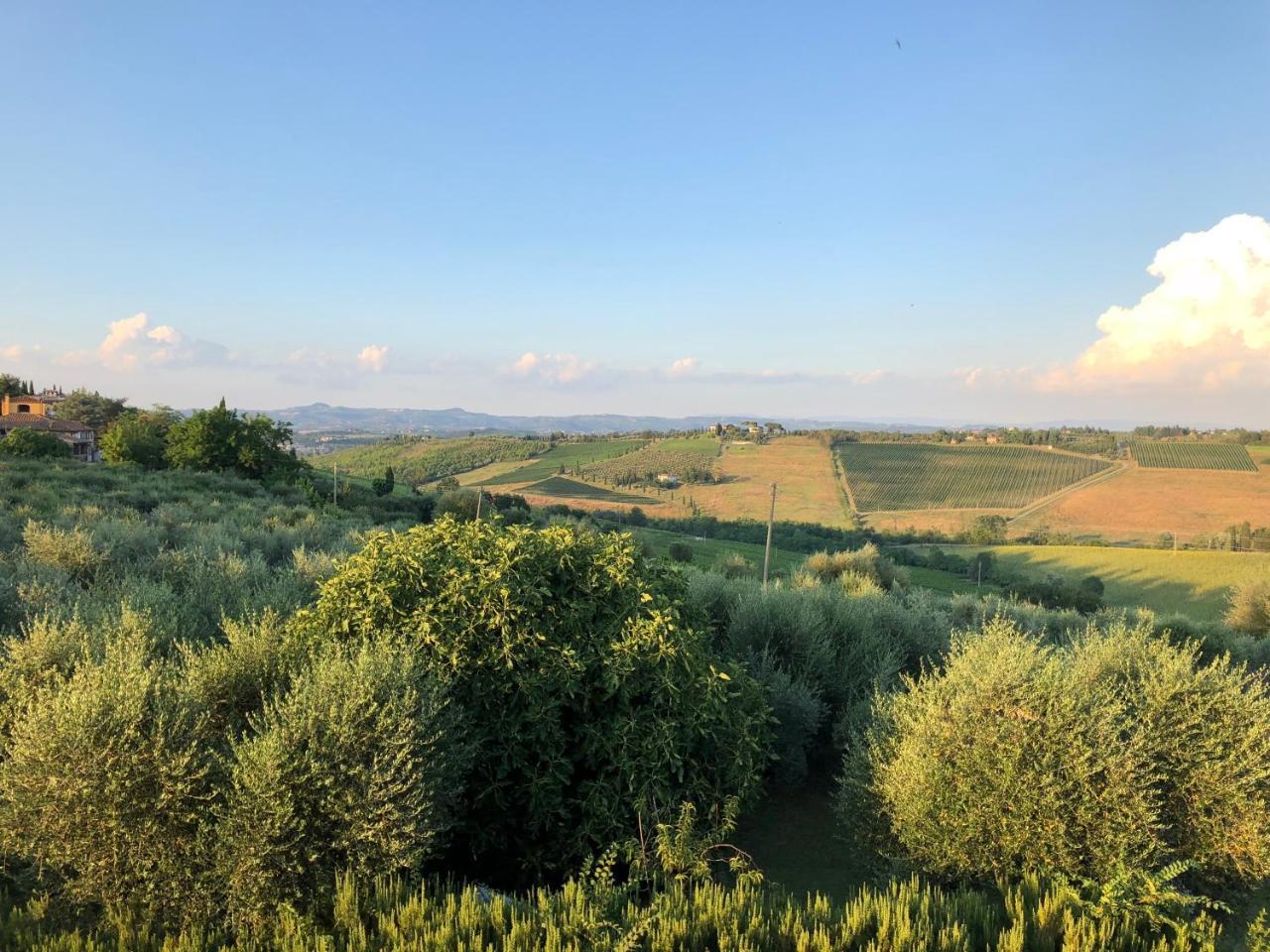 סן ג'ימיניאנו Agriturismo L'Olmo מראה חיצוני תמונה